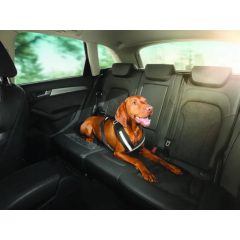 Kutya biztonságiöv S