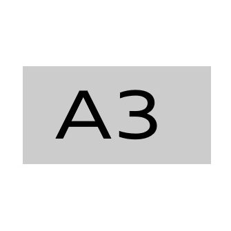 A3